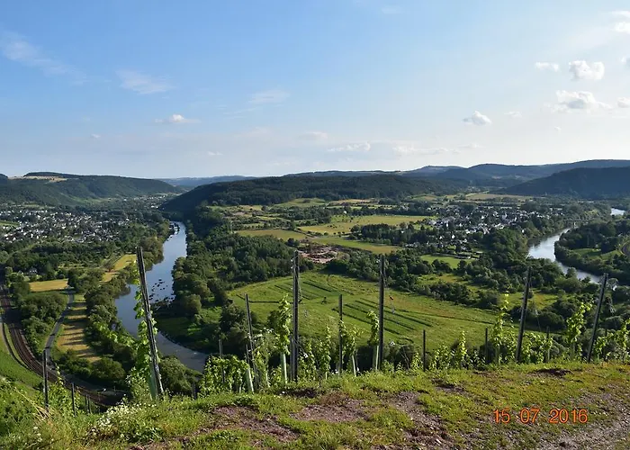 Ferienweingut Borens Apartamento